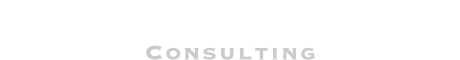 コンサルティング内容